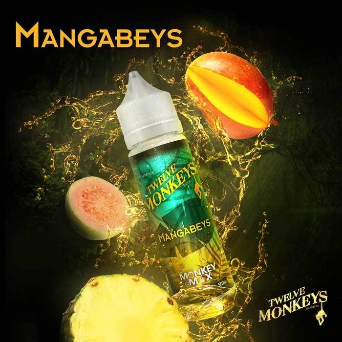 Mangabeys by Twelve Monkeys 50ml Short Fill E-Liquid